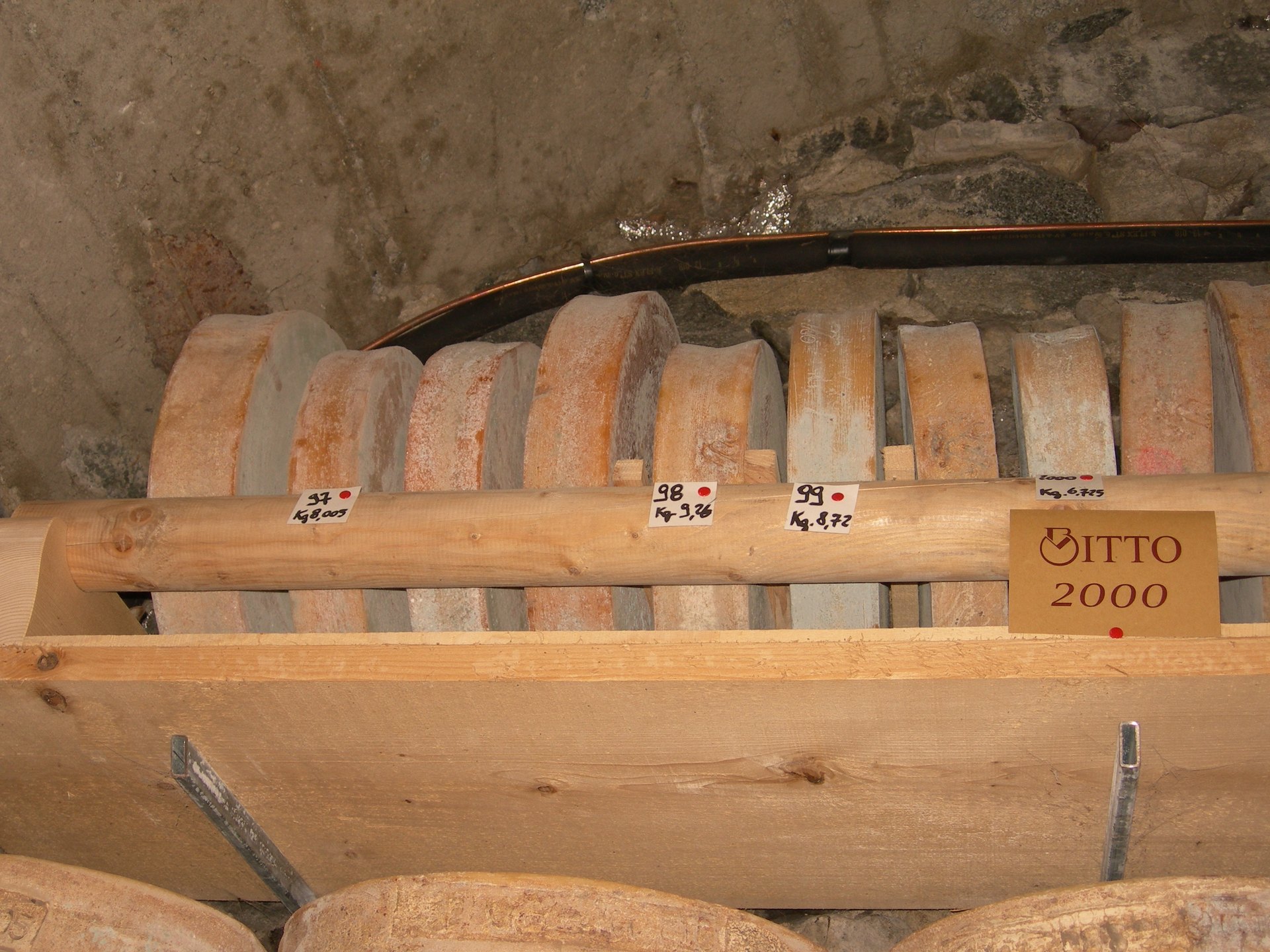 Wheels of Bitto maturing on wooden shelves in a cellar